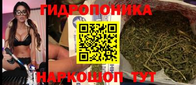 прущие крисы Мариинск